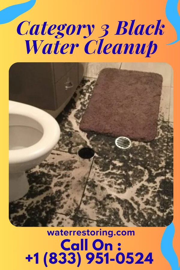 Category 3 Black Water Cleanup in Wellston, MO