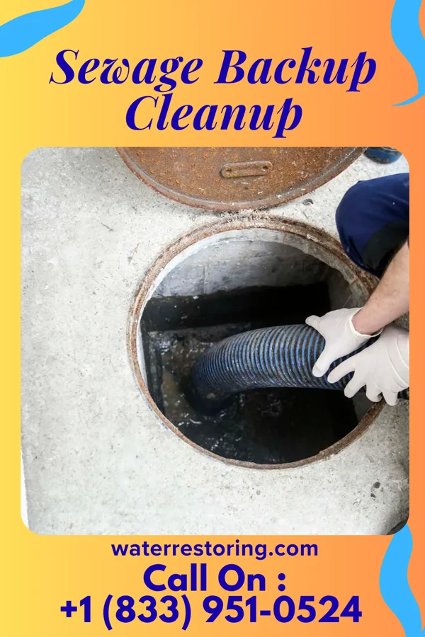 Sewage Backup Cleanup in Wellston, MO